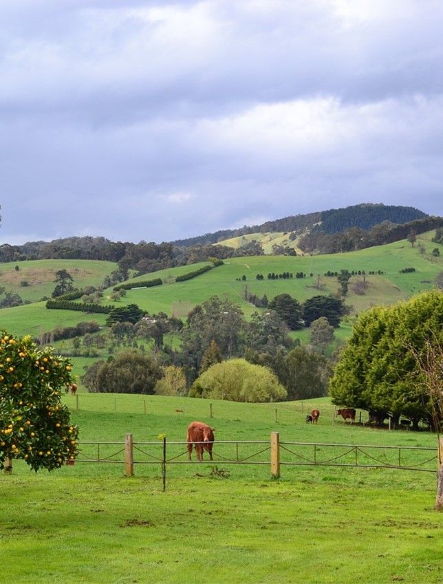 Stay Put and Short Stay Holiday Bus Tours O'Shannessy's Quality Tours