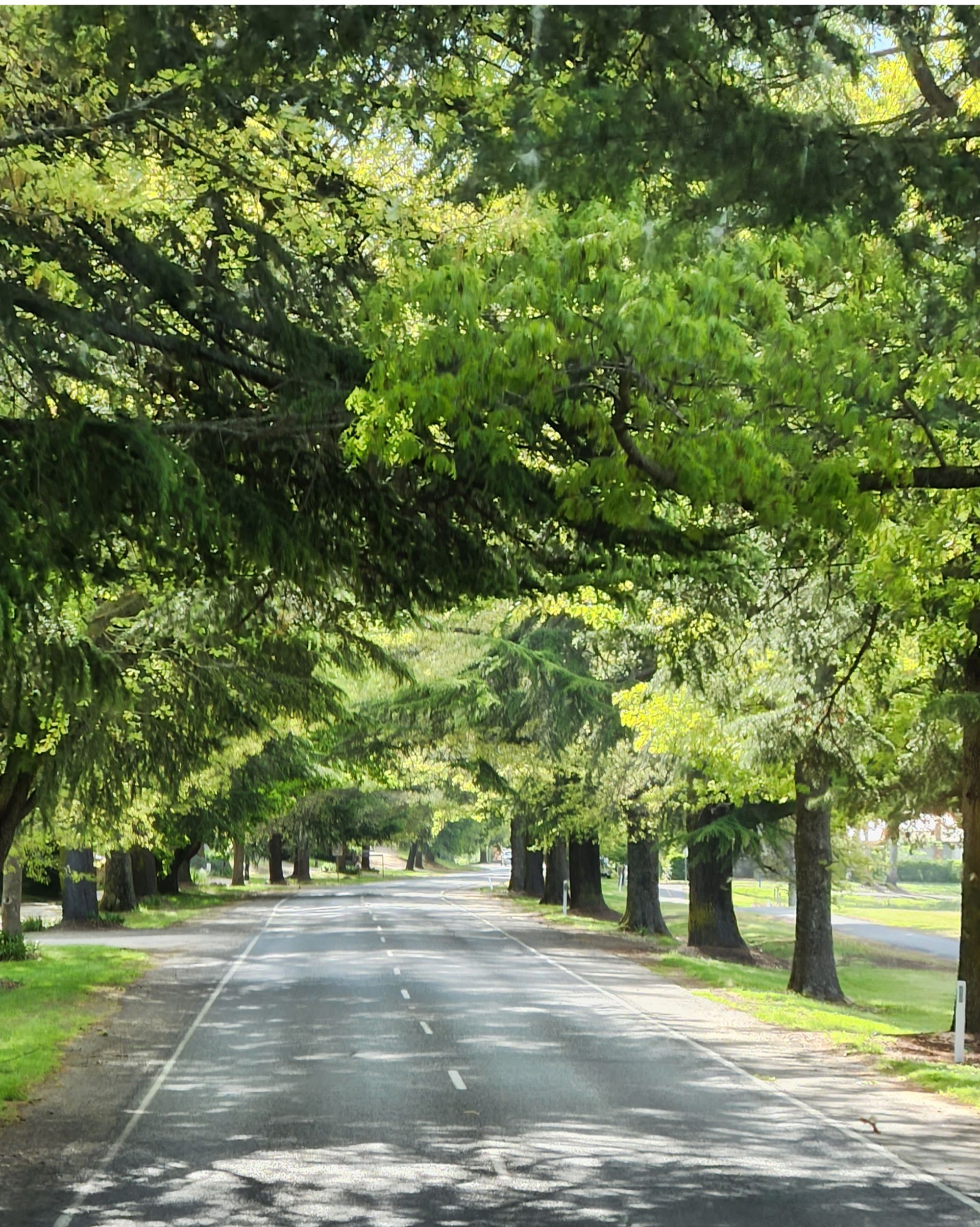 Stay Put and Short Stay Holiday Bus Tours O'Shannessy's Quality Tours