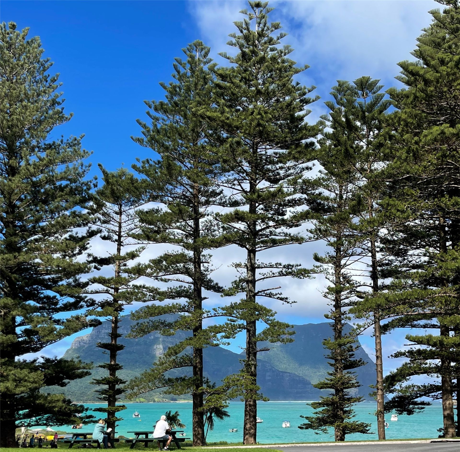 Lord Howe Island in Autumn 2025 7 Day Tour