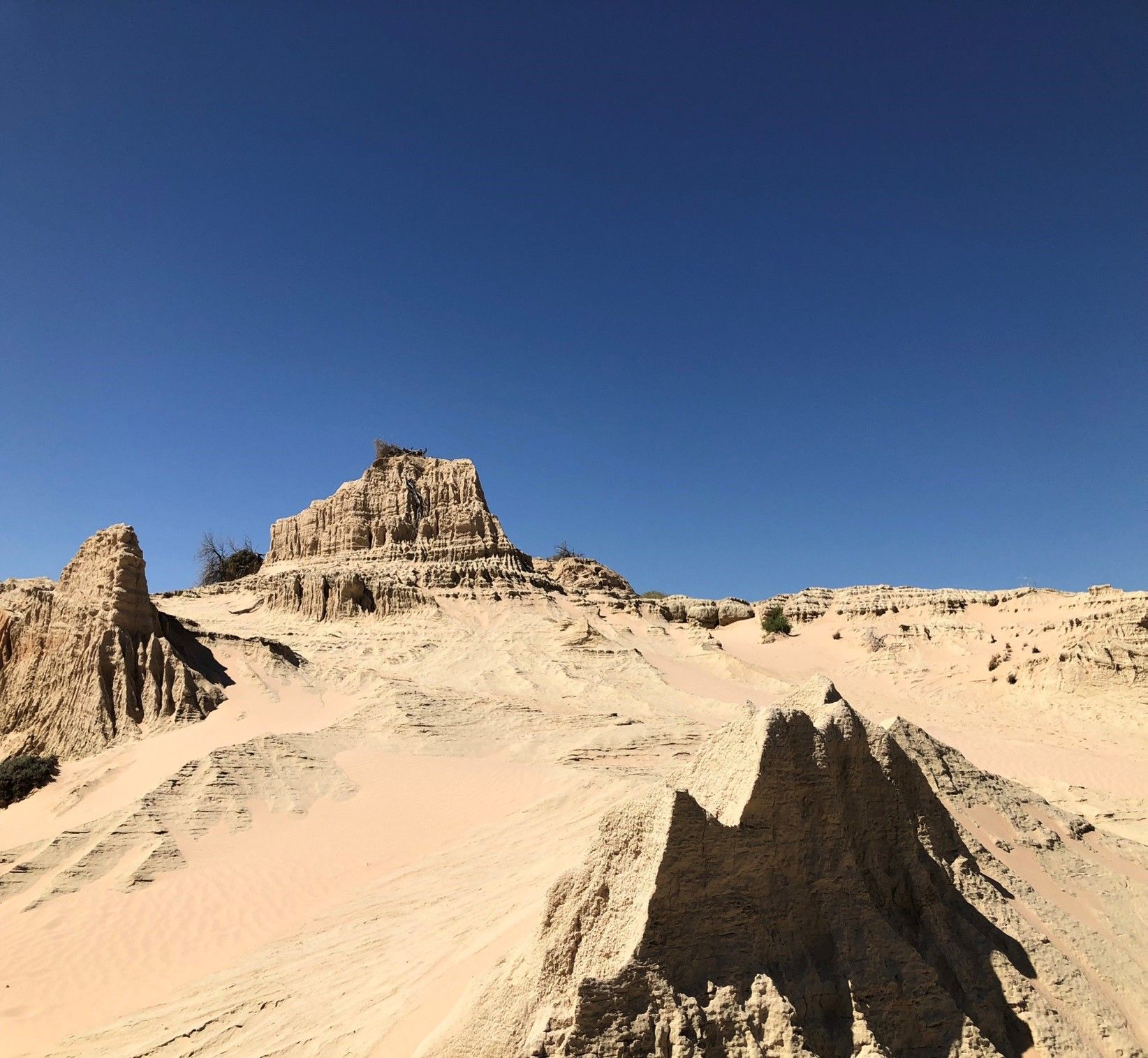 Tours O'Shannessy's Quality Tours