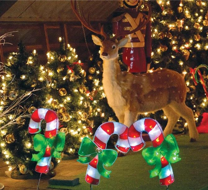 Christmas Lights in Loxton 2026 - 6 Day Tour