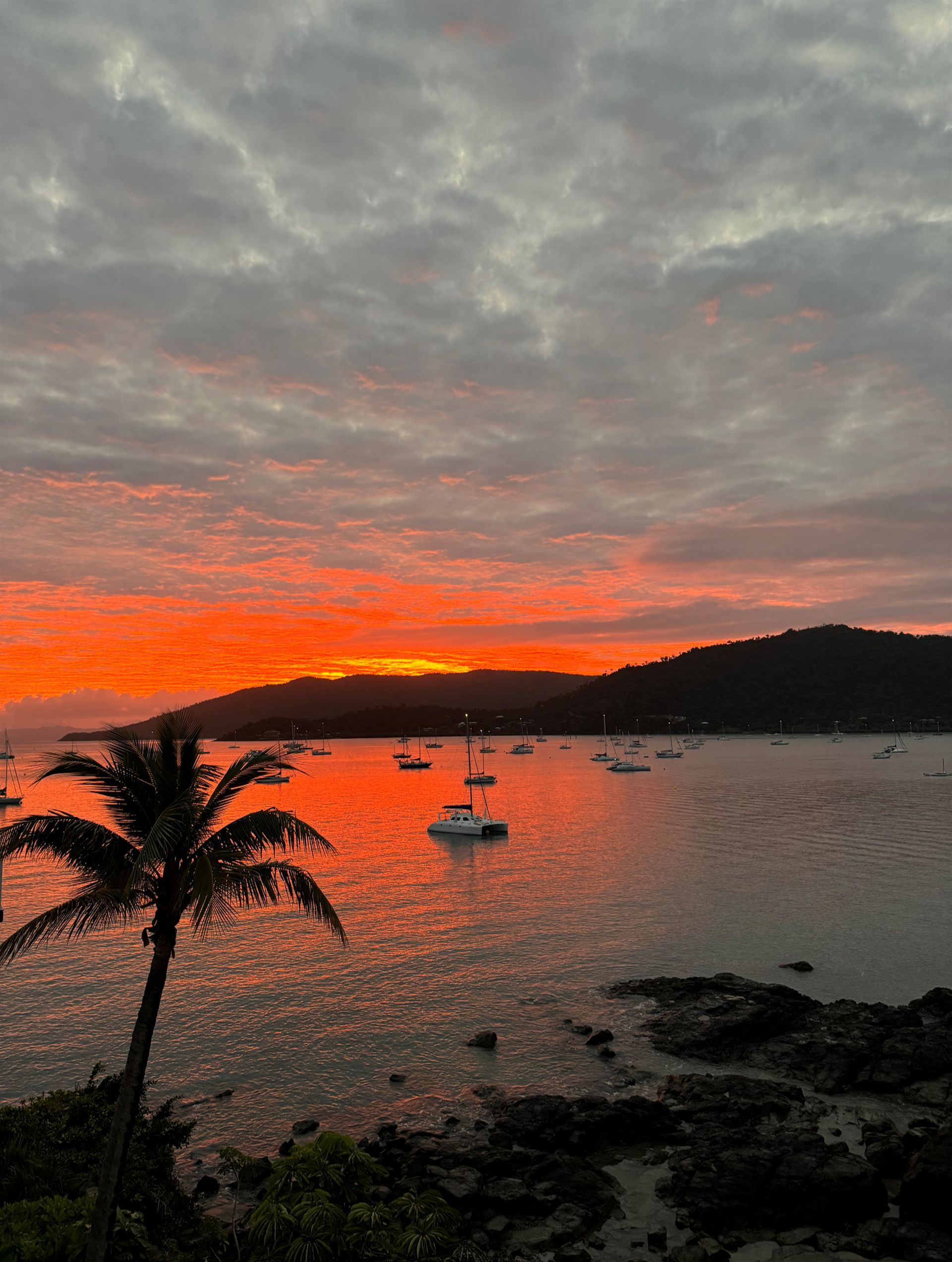 Brisbane to Cairns Coastal Explorer 2026 - 12 Day Tour