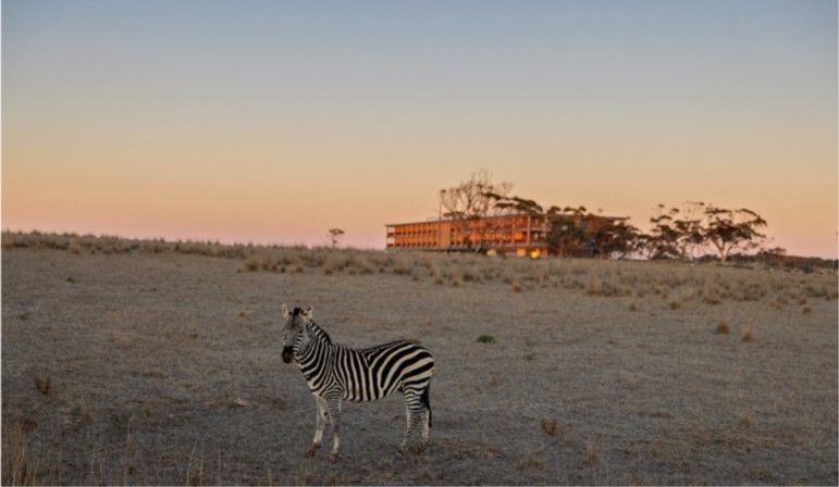 Kangaroo Island and Monarto Safari Resort Spring 2027 - 10 Day Tour
