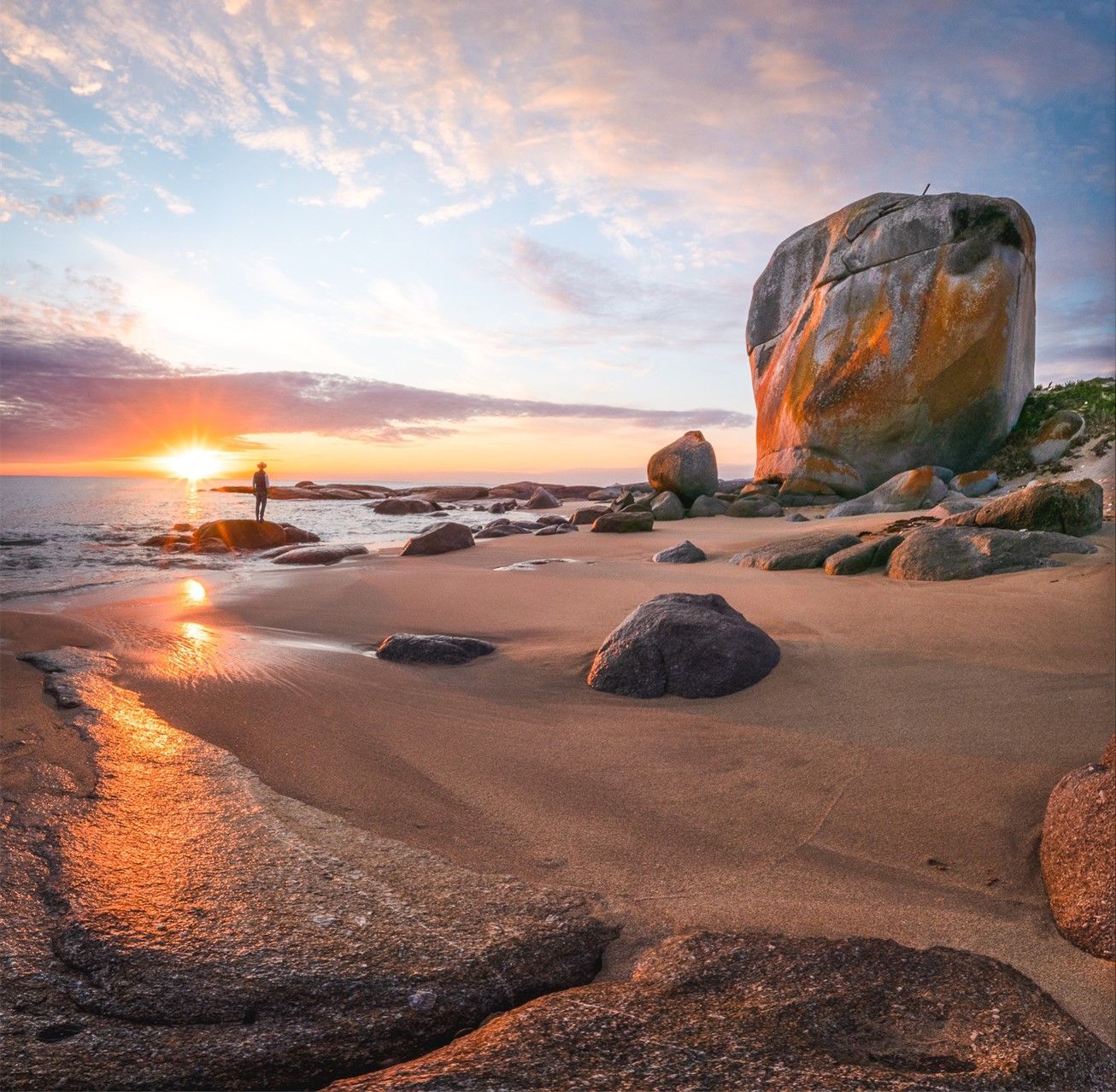 King and Flinders Islands Adventure Tour 1 2027 - 8 Day Tour