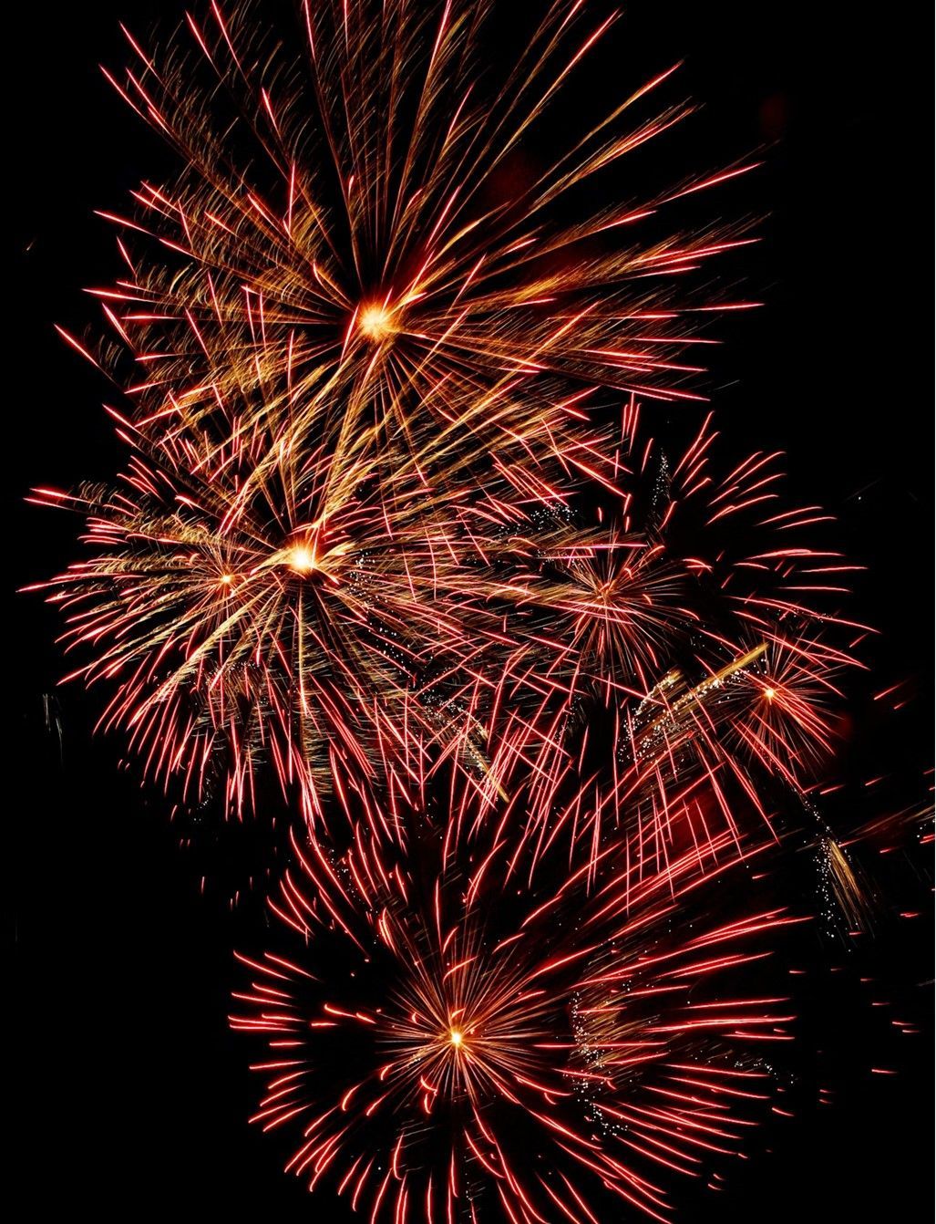 New Year in the Victorian Goldfields 2026 - 5 Day Tour