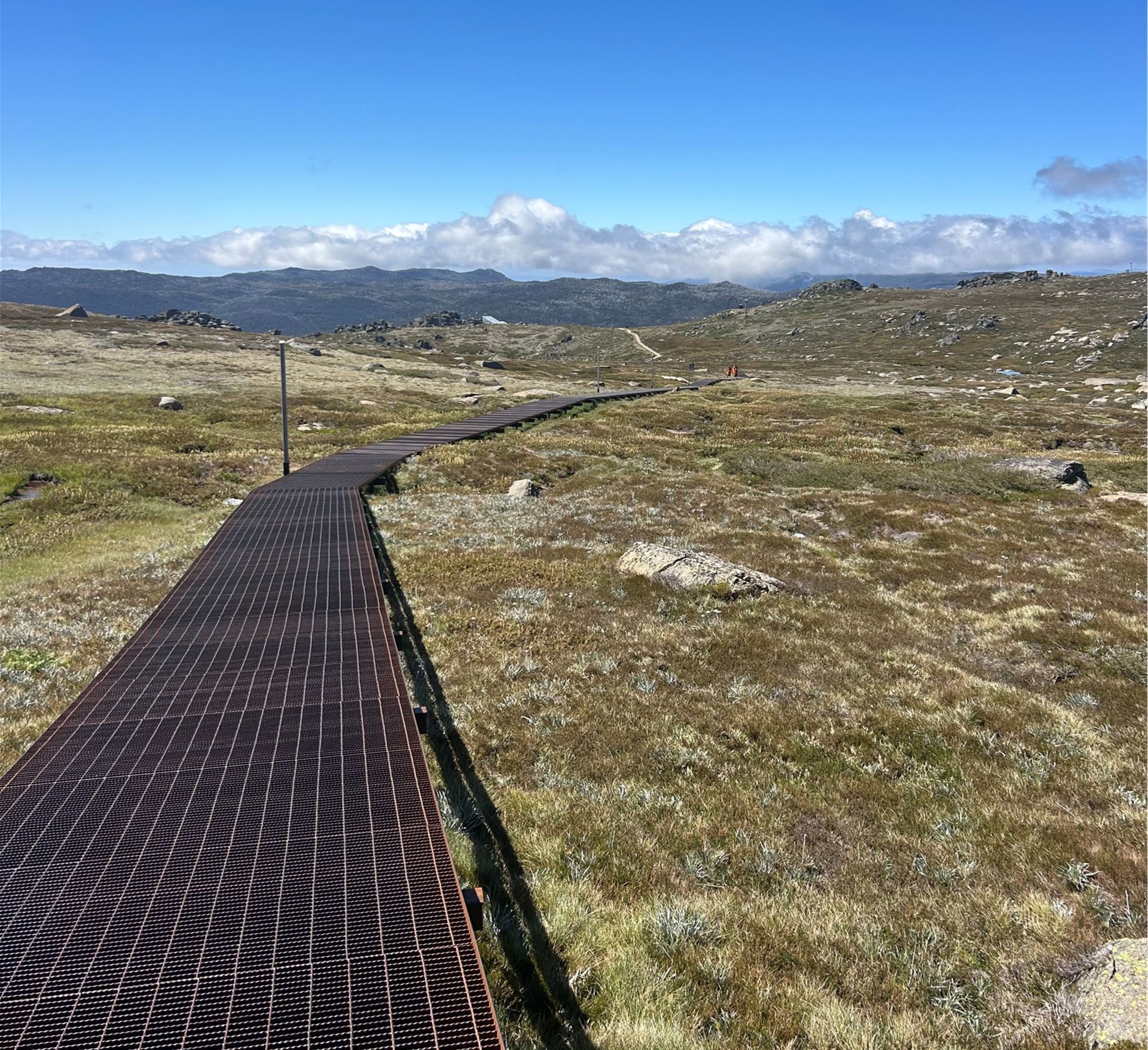 Snowy Mountains 2026 - 7 Day Tour