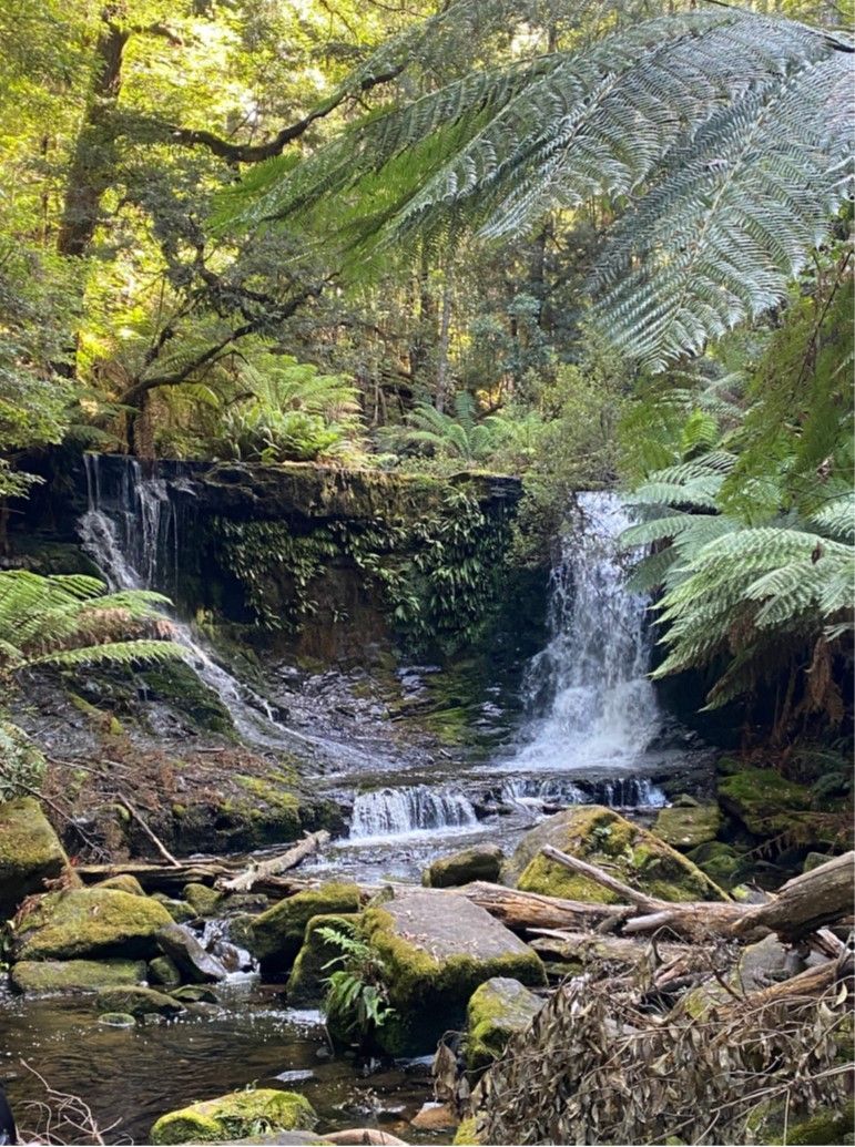 Tasmania West Coast Wilds 2027 - 9 Day Tour