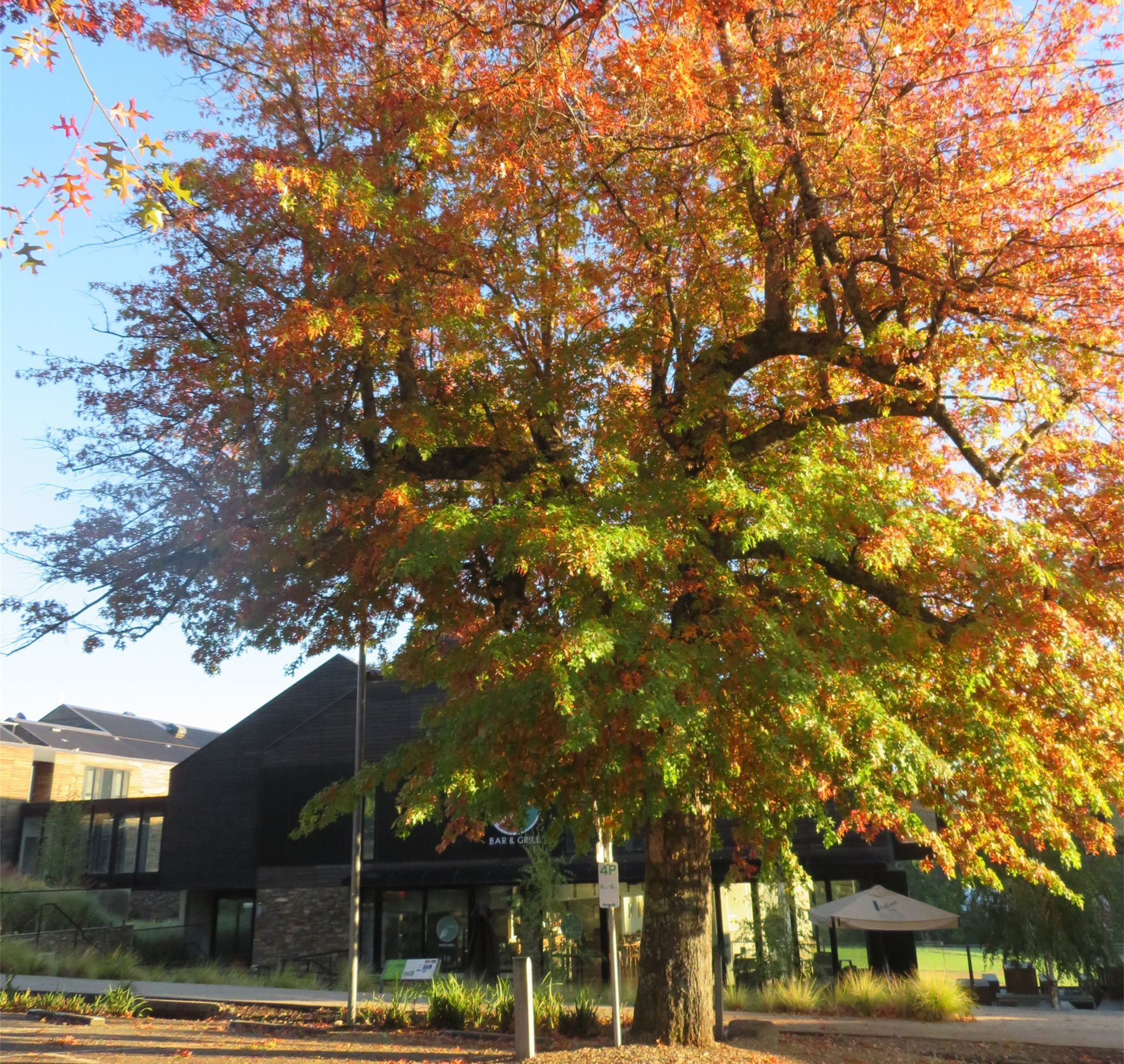 Yarra Valley Autumn 2026 - 4 Day Tour