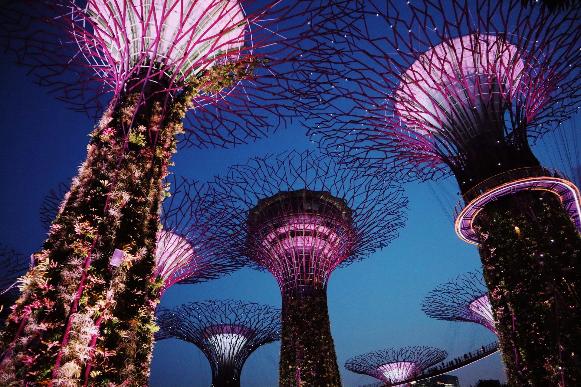 Singapore Splendour 2027 - 8 Day Tour