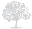 Attaway Tree Service
