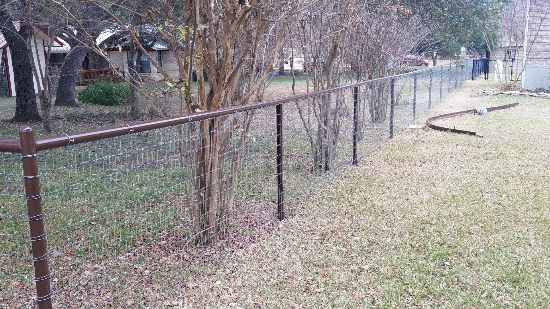 Rusty chain-link fence beside leafless trees along a grassy park path