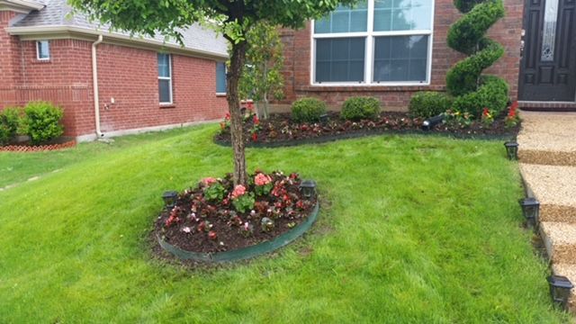 Front yard with a small flowering tree, landscaped flower bed, and brick house entrance