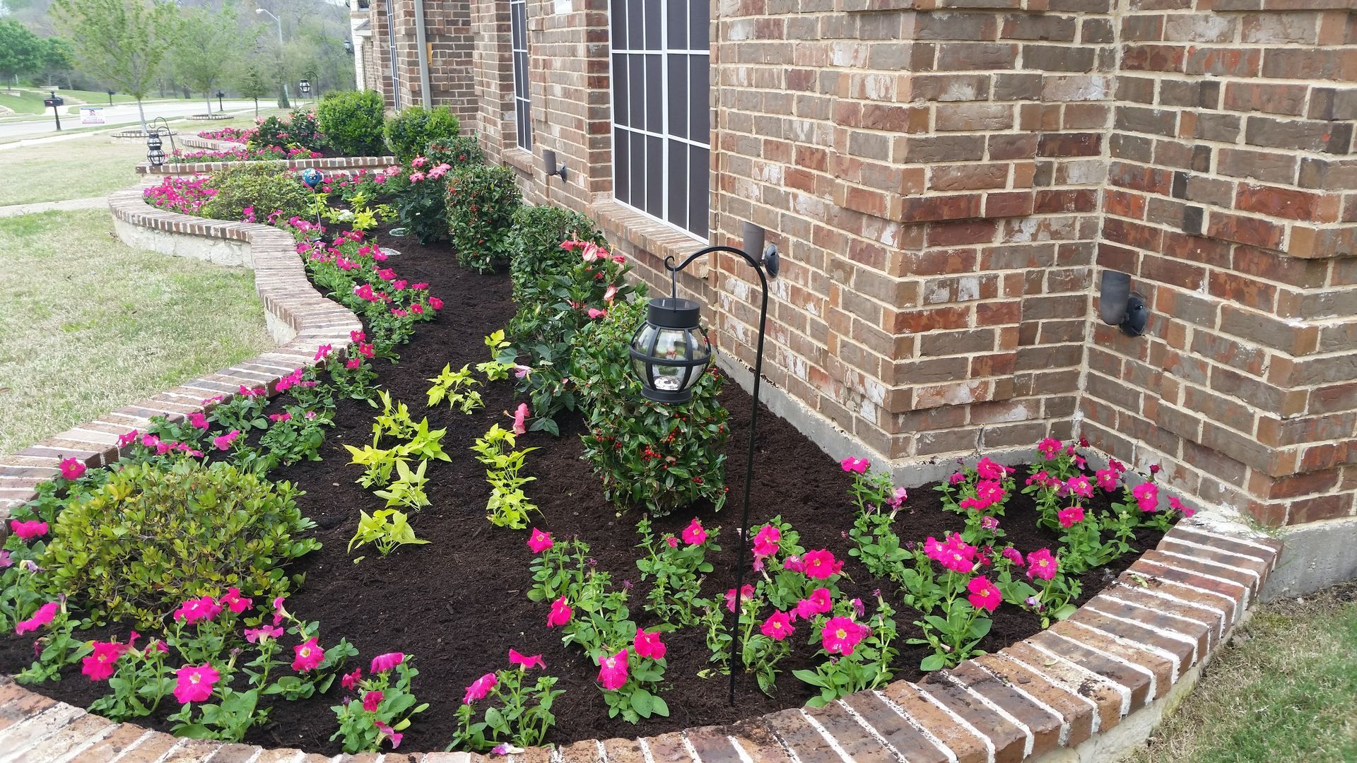 Brick house flower bed with pink and yellow blooms along a curved brick border