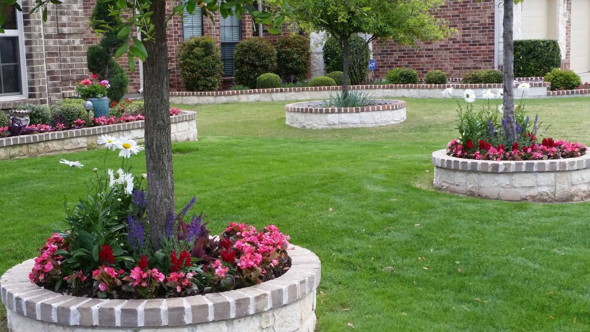 Flower beds around tree trunks in a green lawn outside a brick building.