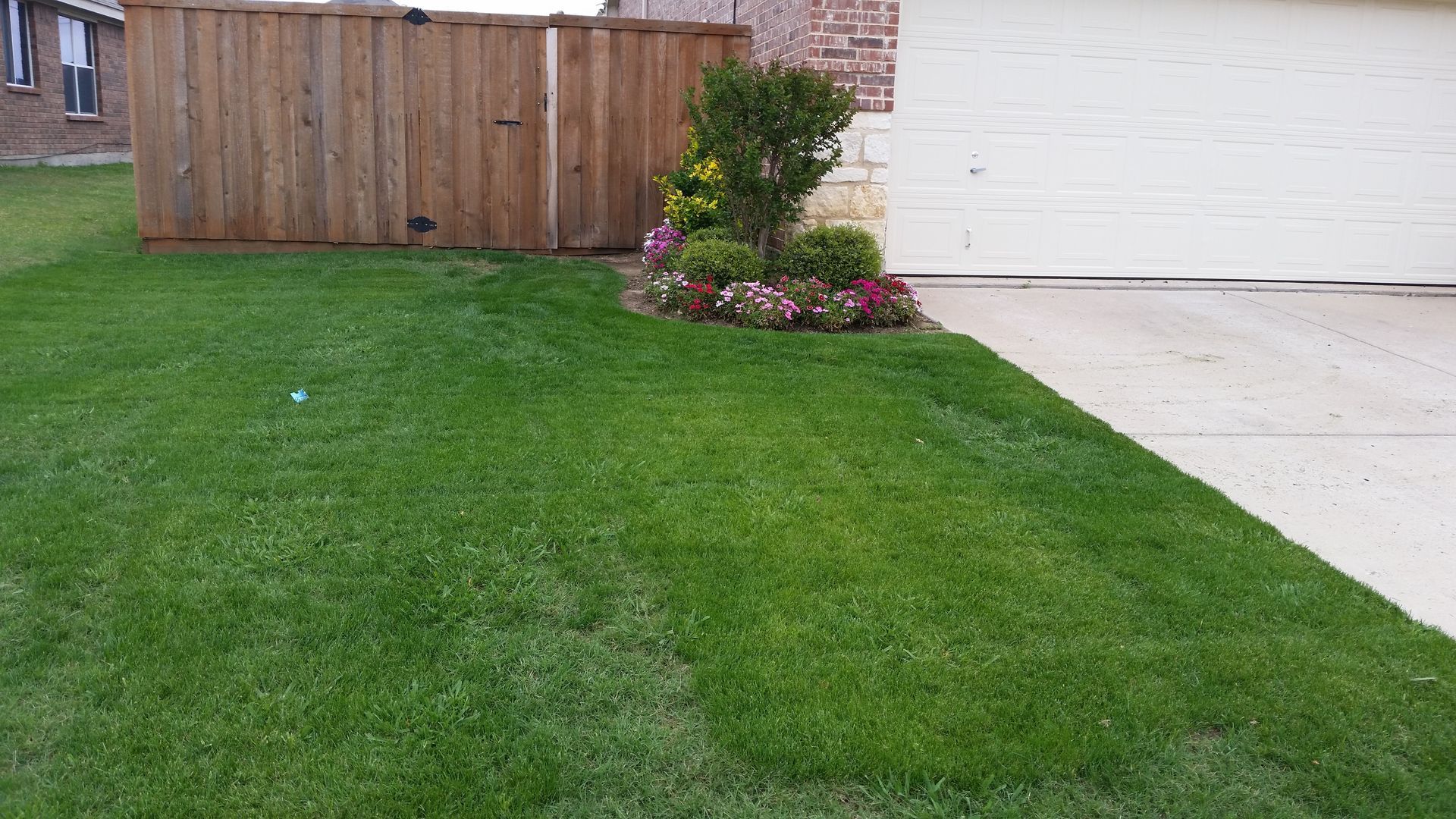 Green lawn beside a concrete driveway, with a wooden fence, small shrub, and white garage wall