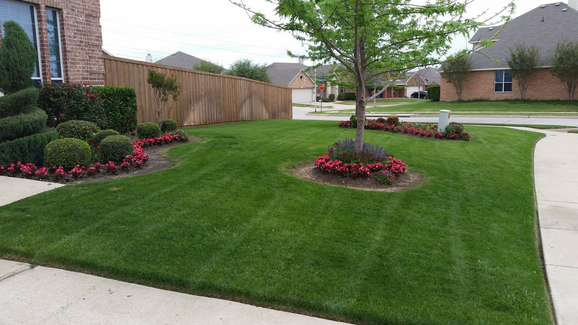 Neatly landscaped suburban front yard with green lawn, young trees, flower beds, and a wooden fence