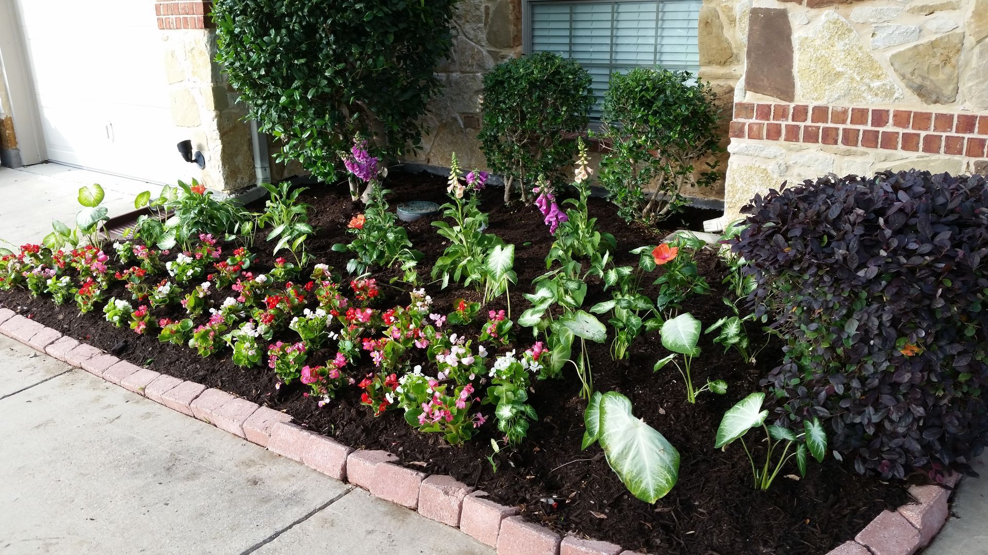 Colorful flower bed with pink, white, and purple blooms along a house walkway and stone wall