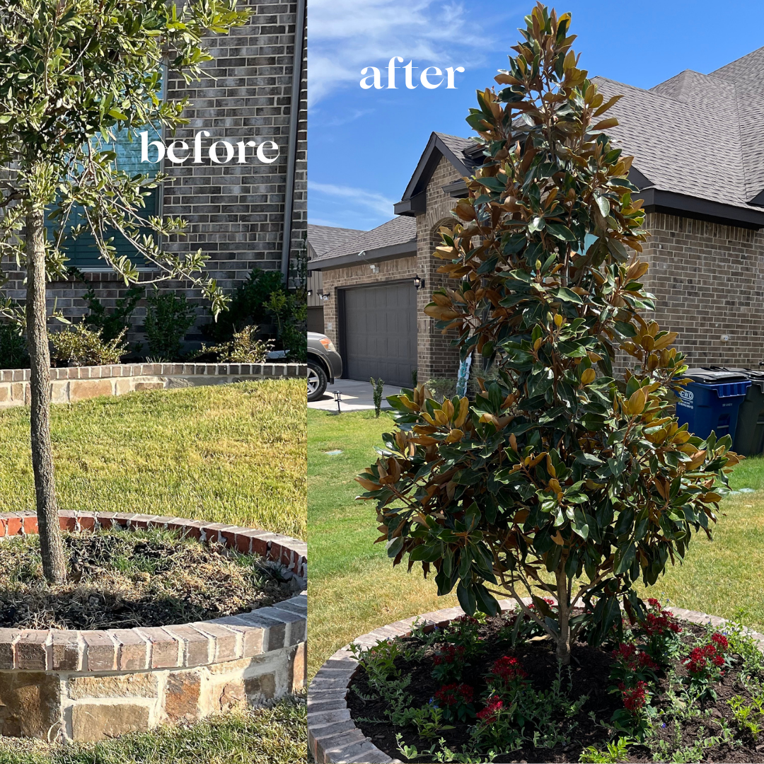 Before-and-after of a landscaped yard: bare circular bed becomes a tall potted topiary with flowers.