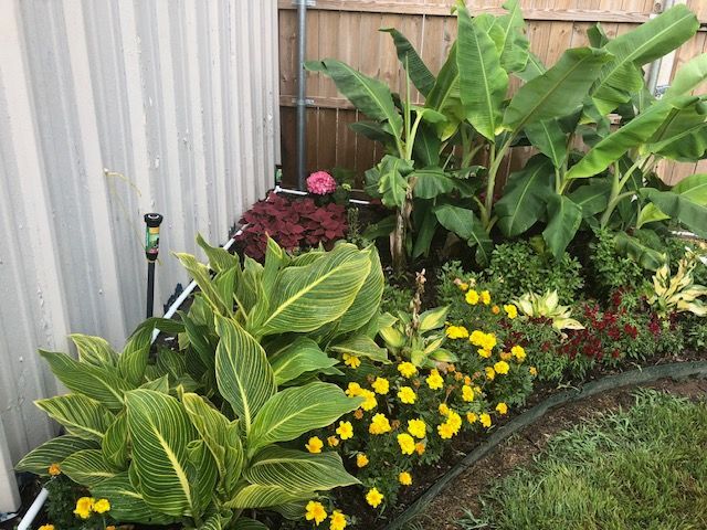 Colorful garden bed with yellow flowers, green foliage, and a red plant beside a fence and house wall