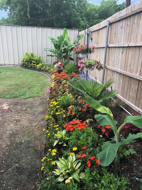 Colorful flower bed with tropical plants along a wooden fence in a backyard garden