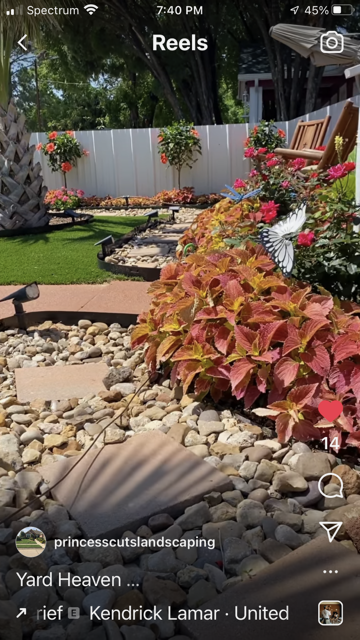 Colorful landscaped backyard with stone paths, flower beds, palm trees, and a small waterfall pond