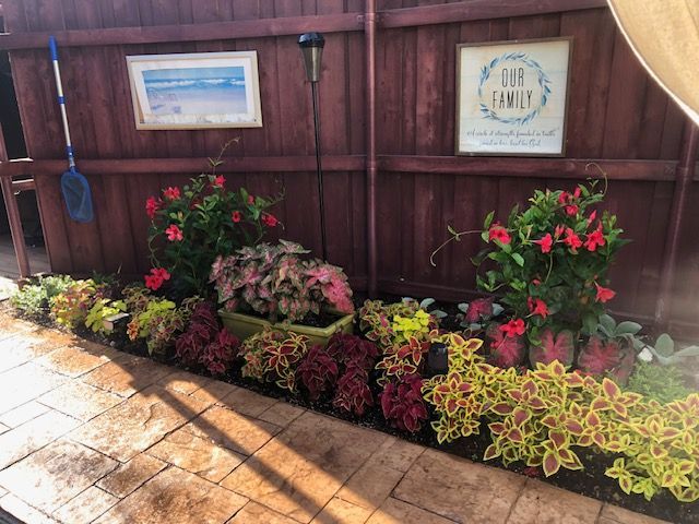 Flower bed with red, pink, and yellow plants along a wooden fence beside a sunlit stone walkway