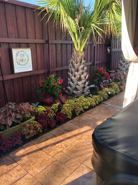 Tropical patio with palm tree, colorful flower bed, and wooden fence beside a black chair cushion
