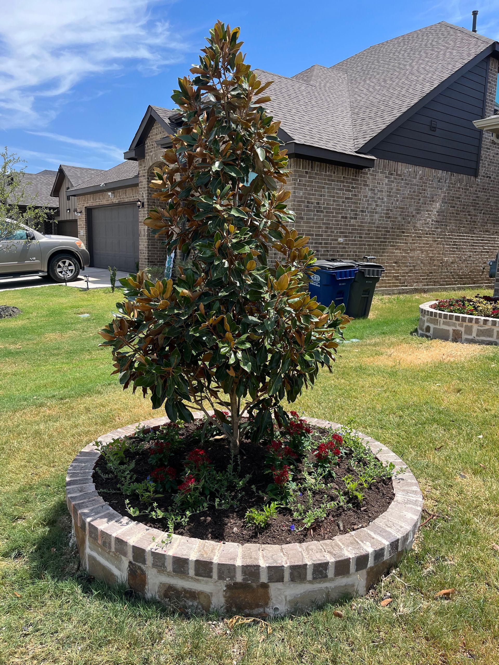 Decorated outdoor tree in a circular brick planter on a sunny suburban lawn