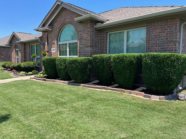 Brick suburban house with manicured lawn and neatly trimmed hedges along the front windows