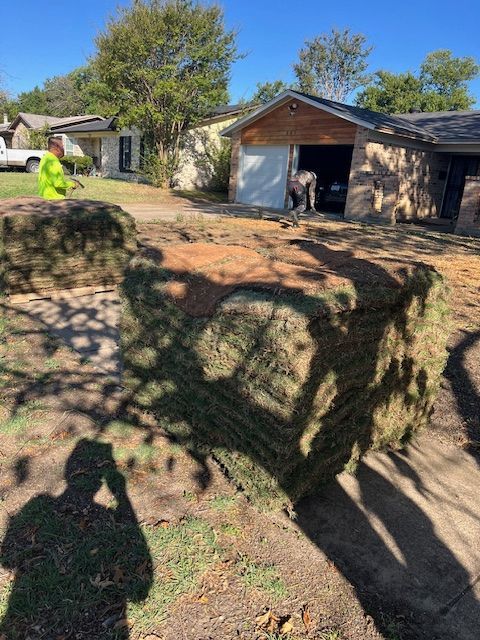 Backyard with garage and trees; person in bright yellow shirt near driveway, long tree shadows across lawn