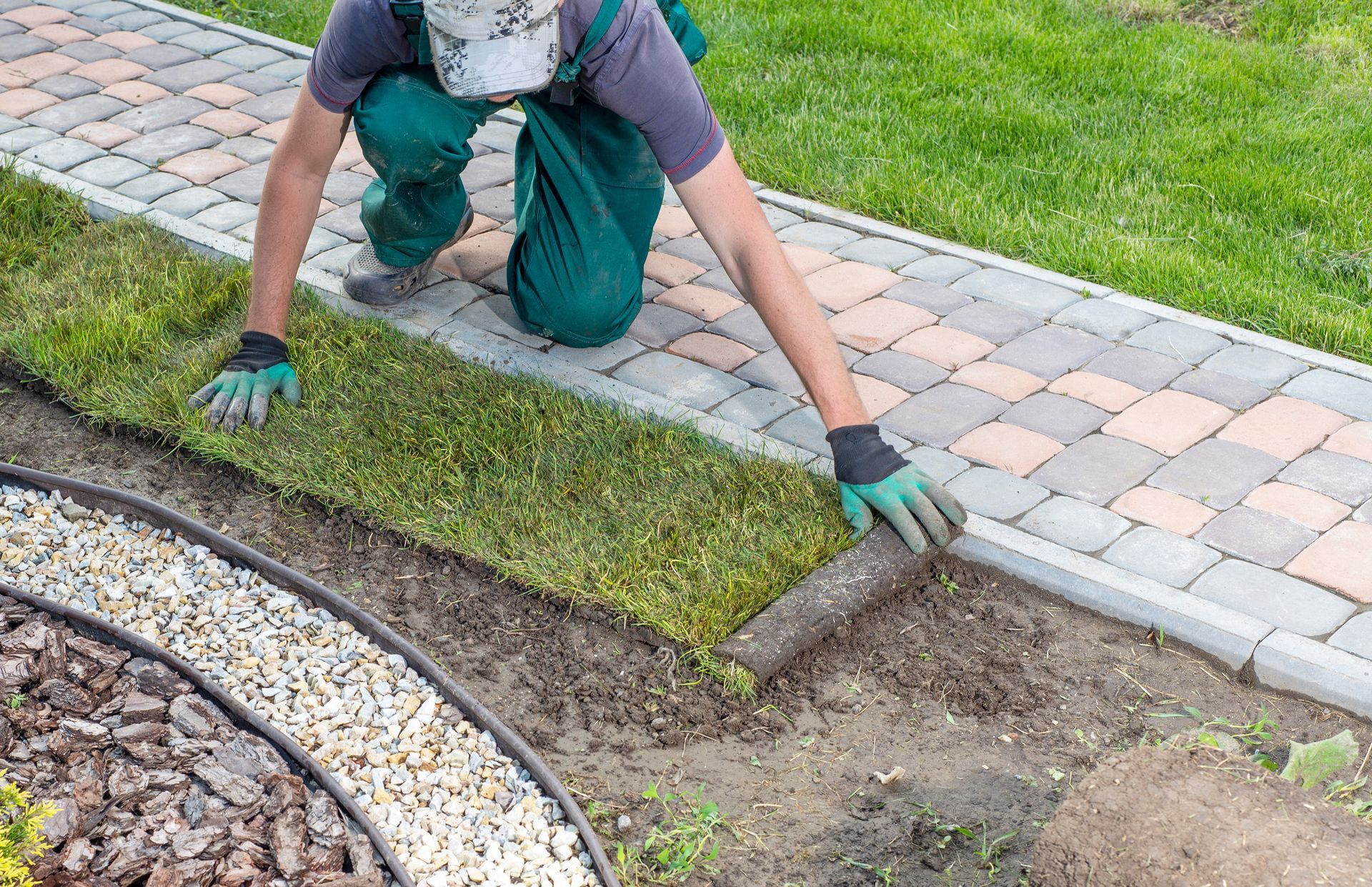 Shrub Installation