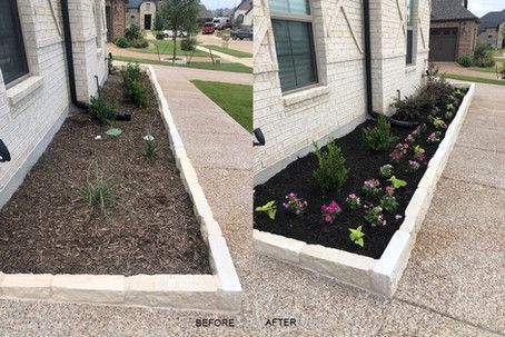 Before-and-after of a front yard flower bed: bare soil changed to a black-mulched bed with colorful flowers.