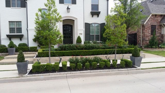 Front of a white townhouse with manicured hedges, potted plants, and a small tree-lined front walkway.