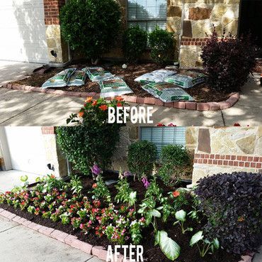 Front-yard landscaping before and after: sparse mulch transformed into a colorful flower bed.