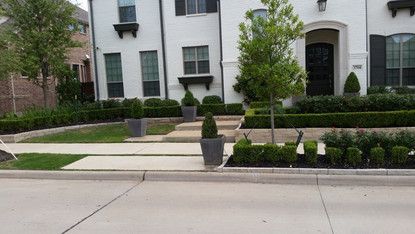 Modern house front entrance with walkway, potted plants, and trimmed hedges along a quiet street