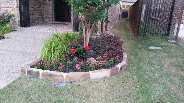 Circular flower bed with pink and red flowers beside a house walkway and lawn