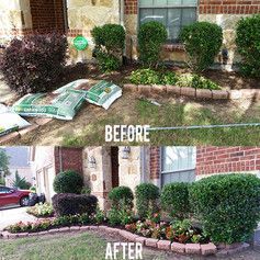 Before-and-after front yard landscaping with trimmed shrubs and flower beds, labeled “BEFORE” and “AFTER”