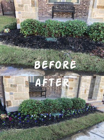 Before-and-after of a front yard shrub bed, trimmed bushes and added purple flowers in front of a brick house