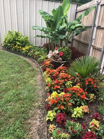 Curved backyard flower bed with colorful tropical plants and red, orange, yellow blooms along a fence