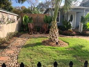 Backyard with green lawn, palm tree, wooden chairs, and a house in the background
