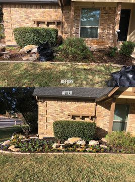 Before-and-after view of a brick house front yard with trimmed bushes and fresh mulch.