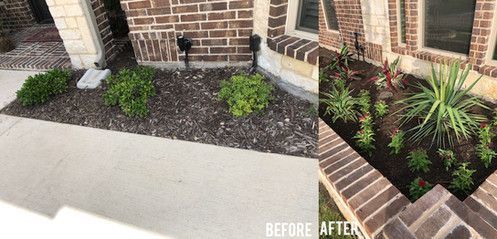 Before-and-after of a brick home's front bed: sparse mulch replaced with lush green plants and colorful flowers.