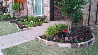 Front yard flower beds with red blooms and a small tree beside a brick house and walkway