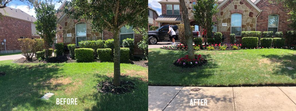 Split-view suburban yard with a tree, lawn, flower bed, and brick house before-and-after comparison
