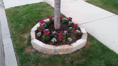 Small flower bed with pink blooms around a tree in a stone border beside a sidewalk and lawn