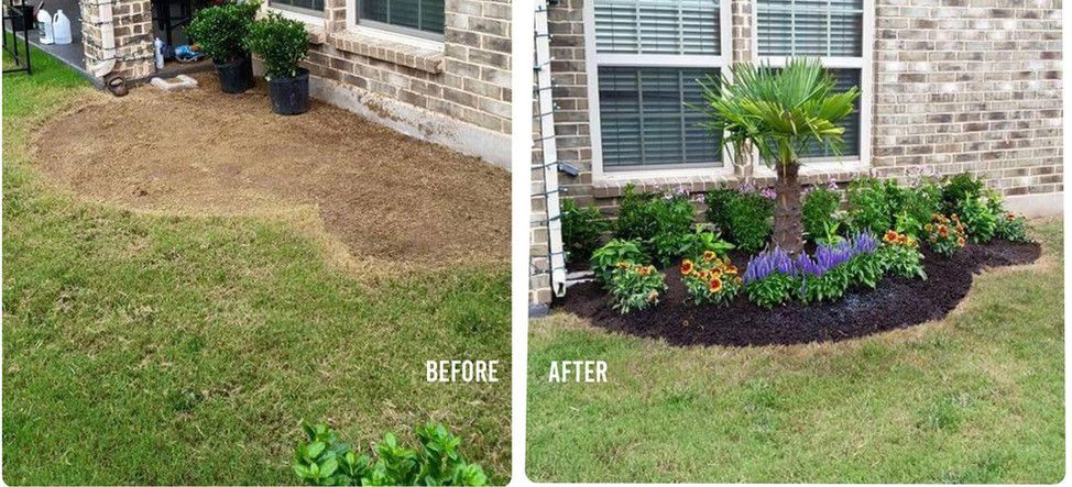 Before-and-after yard landscaping by a house: bare patch becomes a mulched flower bed with purple blooms and a palm.