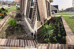 Before-and-after front yard landscaping with brick border, mulch beds, and a small palm beside a house