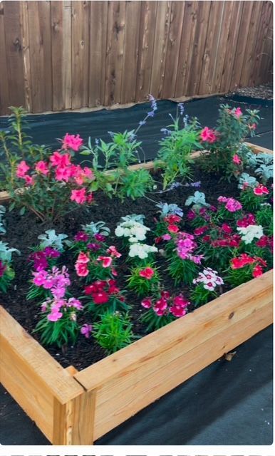 Raised wooden garden bed with pink, white, and red flowers against a wooden fence