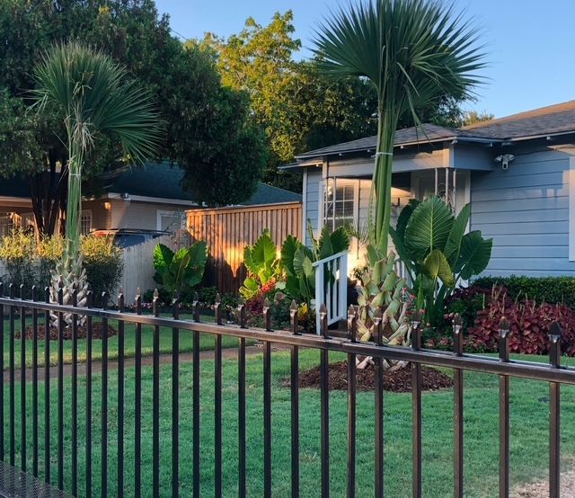Landscaping Design