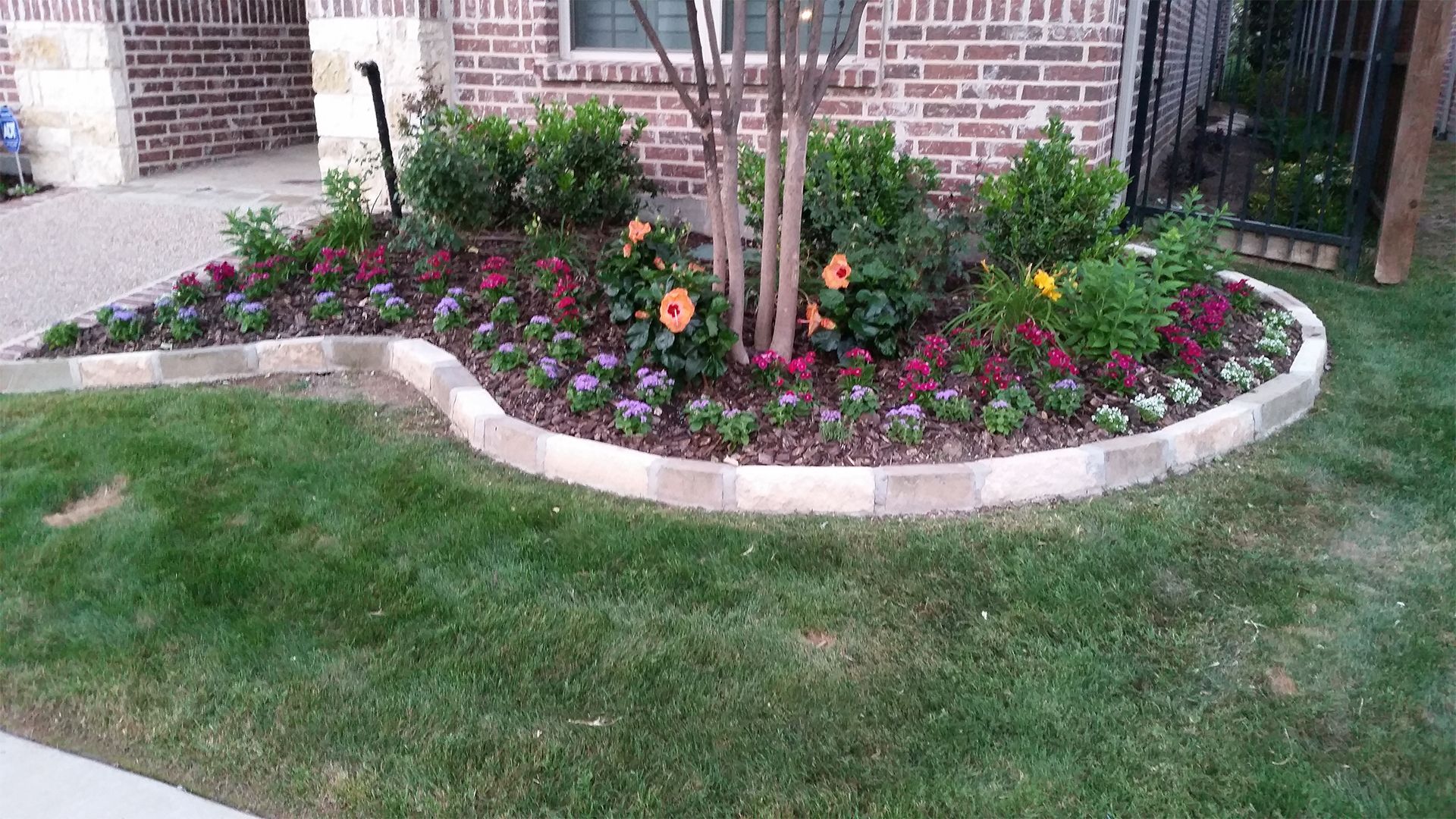 Curved flower bed with colorful blooms and a young tree in front of a brick house on a grassy lawn